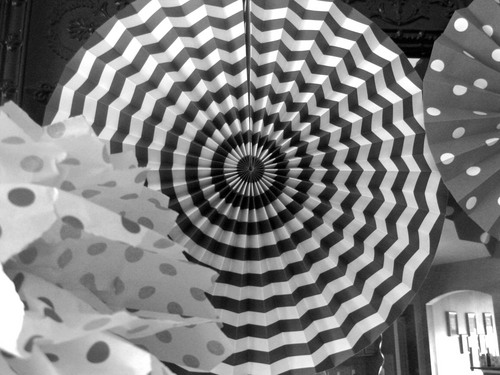 ThePaperJunkie's profile picture. 