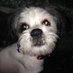 Chucho (@chuchomylove) Twitter profile photo Chucho (@chuchomylove) Twitter profile photo
