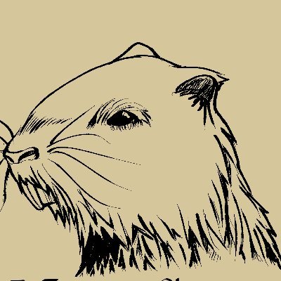 Nutria Studioさんのプロフィール画像