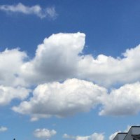 ちば。 (@18uke_mha) 's Twitter Profile