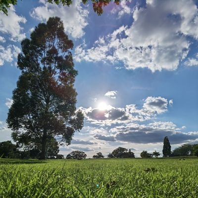 fahad_net81's profile picture. ......رحم الله إمرءا أهدى إلي عيوبي......
Gluten Free Friend