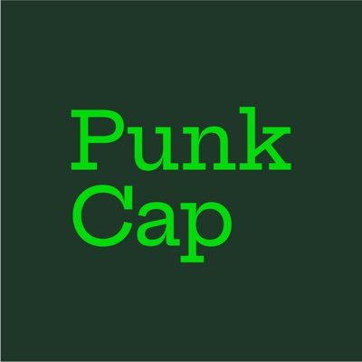 punkcap Profile Picture