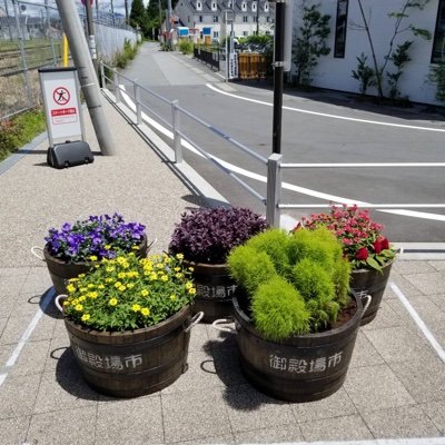 御殿場市の緑に関するイベント情報🍀や市内にある四季の花々🌺など随時更新します