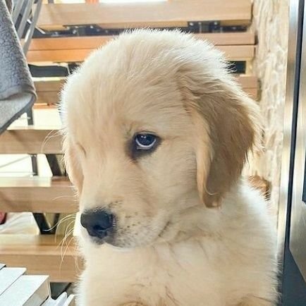 Sitthinee4's profile picture. ร้องเล่นกะโหลกะลา