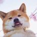 Ry (@ry53443687) Twitter profile photo Ry (@ry53443687) Twitter profile photo