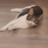 MaxPP1383🇲🇫 (@maxpp1383) 's Twitter Profile