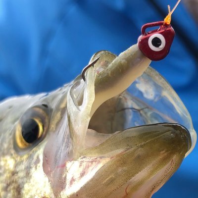 Our patented eyelet makes it easier to retie and keep your line in the water for more fishing. Fight fish, not tackle.
Shop now: https://t.co/ijFixN0JGv