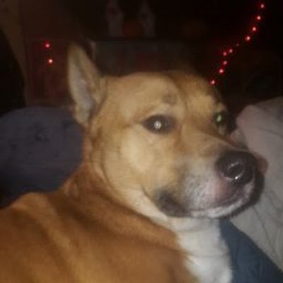 treyu_treyu's profile picture. yes bitches