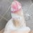 TraiDm21737126's profile image