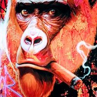 vwaptrader1 (@vwaptrader1) 's Twitter Profile Photo vwaptrader1 (@vwaptrader1) 's Twitter Profile Photo