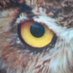 Jeff Rey (@jeffrey78735228) Twitter profile photo Jeff Rey (@jeffrey78735228) Twitter profile photo