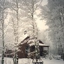 Murray Young - @Murraymudd - Twitter