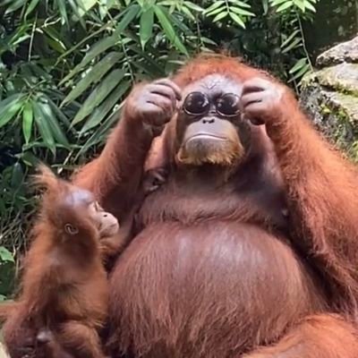 aprilknunchucks's profile picture. find me on bsky