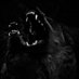 AmWolfkvp (@amkvwolf) Twitter profile photo AmWolfkvp (@amkvwolf) Twitter profile photo
