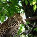 travel Creations Botswana (@travelbotswana) Twitter profile photo travel Creations Botswana (@travelbotswana) Twitter profile photo