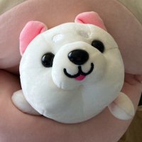 mame@フォロバ (@shino_omame) 's Twitter Profile