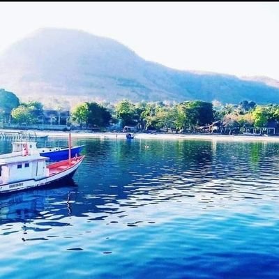 NMothone's profile picture. 