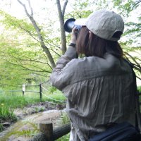 miiphoto/みいふぉと鳥ガール♪ (@miiphoto_diary) 's Twitter Profile Photo miiphoto/みいふぉと鳥ガール♪ (@miiphoto_diary) 's Twitter Profile Photo