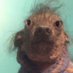 AultiverseDropEmOff (@aultiverse) Twitter profile photo AultiverseDropEmOff (@aultiverse) Twitter profile photo