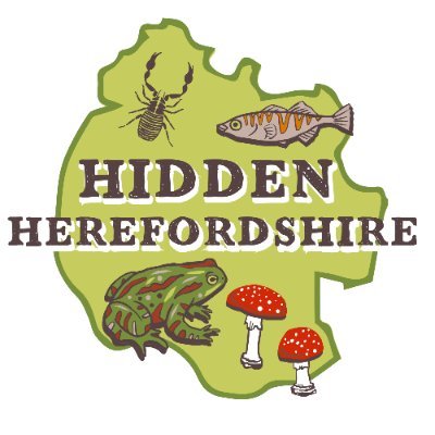 Heritage Lottery project run by CLaN CIC and HBRC. Connecting people to wildlife and recording it.