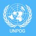UNPOG/DPIDG/UN DESA (@UNPOG) Twitter profile photo
