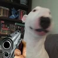 DDYYLLAANNT15's profile picture. 