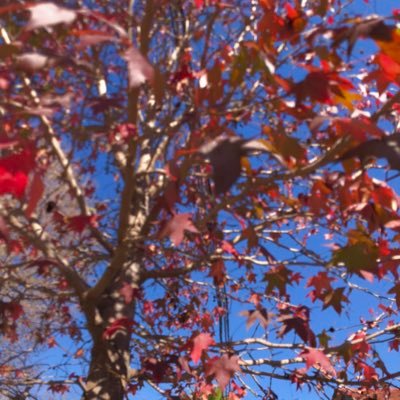 JOVI_G_R's profile picture. 