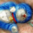 tkc0403's profile image