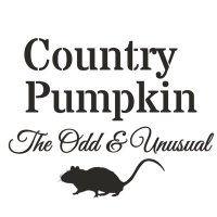 Country Pumpkin(@OCountryPumpkin) 's Twitter Profile Photo