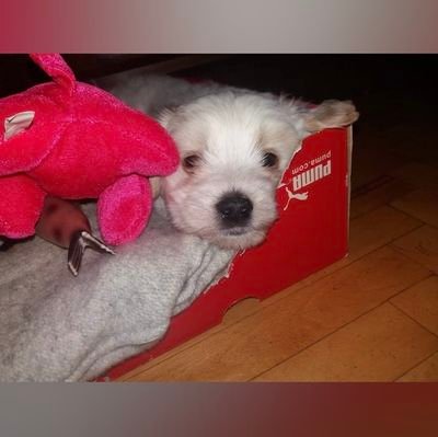 Misa49917332's profile picture. 