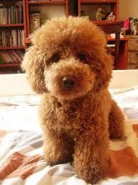 geraci_'s profile picture. Easy money