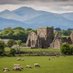 Rock of Cashel and Children of Lir statues (@Martina45497642) Twitter profile photo