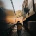 Walking between Trains (@wlkbetweentrain) Twitter profile photo
