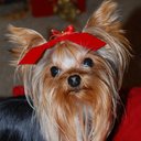 Donna Wills - @WillsDonna - Twitter