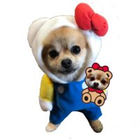 chuchu757 (@chuchu757) 's Twitter Profile