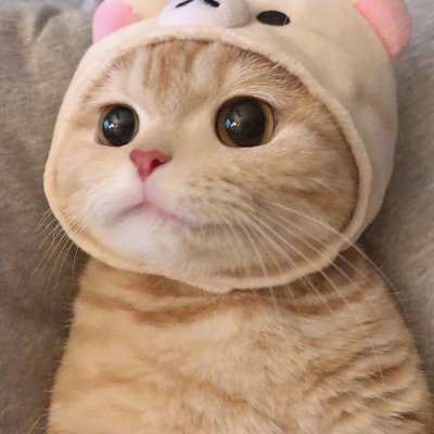 구너.