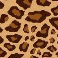 🐆ICHI-LOW🐆 (@ichilow) 's Twitter Profile