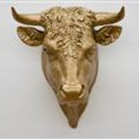 Iedereen uit Oss (@iedereenuitoss) 's Twitter Profile