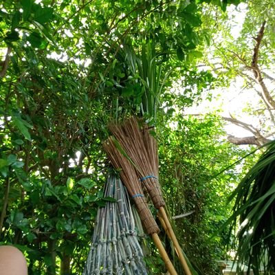 Satid67927992's profile picture. 