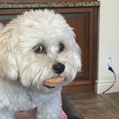 CatronioGary's profile picture. 