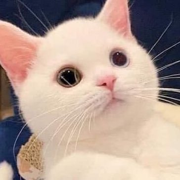 Duyeens63's profile picture. 