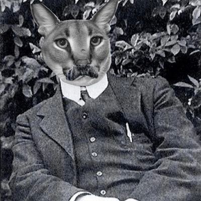 A caracal who is also James Connolly :3 Ó bhruach go bruach, beidh an Phalaistín buach! 🇵🇸🇮🇪