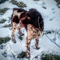 Skocajic (@skocajic2) 's Twitter Profile Photo Skocajic (@skocajic2) 's Twitter Profile Photo