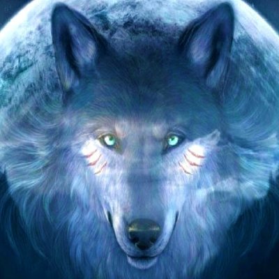 Farcryll13's profile picture. $SHIRO