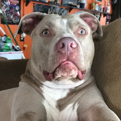 The_Twizted's profile picture. 