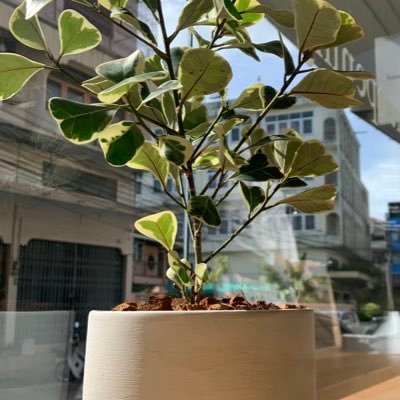 DVllVRZ's profile picture. Someones who others hate if you want to know me just dm