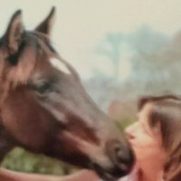 Carole Christopher - @CaroleChrist52 Twitter Profile Photo