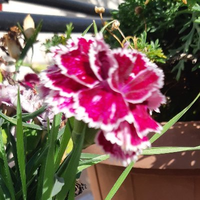 Mustafa1emre's profile picture. Dost bi-perva, felek bi-rahm, devran bi-sükun
Derd çok, hem-dert yok, düşman kavi, tali zebun
Fuzuli