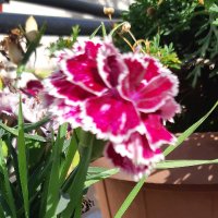 Mustafa Emre💦 (@mustafa1emre) Twitter profile photo