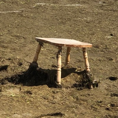 SupYabellend's profile picture. 